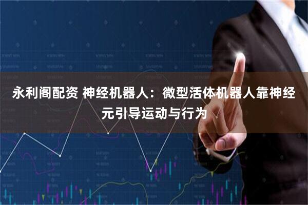 永利阁配资 神经机器人：微型活体机器人靠神经元引导运动与行为